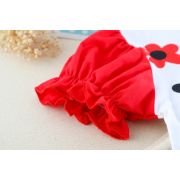 Costumas cu bluzita cu flori rosii si pantalonasi din blugi (marime disponibila: 6-9 luni (marimea 19 incaltaminte)) mbxq1895-1-dg.6-9 luni (marimea 19 incaltaminte)