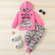 Compleu cu hanorac pentru fetite - mama's mini (marime disponibila: 3-6 luni (marimea 18 incaltaminte)) mdwhm065-de3.3-6 luni (marimea 18 incaltaminte)
