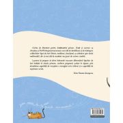 Cartea de literatura pentru invatamantul primar. invat si exersez cu amadeus si remi