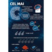 JOC CEL MAI C VIV02334