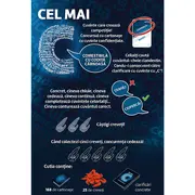 JOC CEL MAI C VIV02334