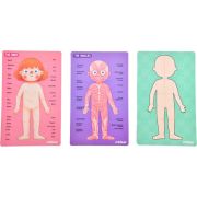 Joc educativ magnetic Corpul uman 90 piese Mideer CT7013 BBJCT7013_Initiala