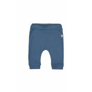 Set de 2 perechi de pantaloni Savana pentru bebelusi, Tongs baby (Culoare: Albastru, Marime: 12-18 Luni) JEMtgs_3186_2