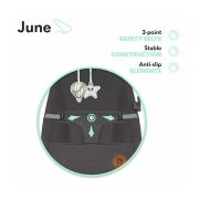Lionelo - Fotoliu balansoar June, Cu arcada cu jucarii, Ergonomic, Balansare manuala, Pliabil, 0 luni+, Gri BYNLO-JUNE_GREY_STONE