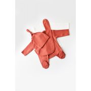 Set de 5 piese pentru nou nascut - 100% bumbac organic - Scortisoara, Baby Cosy JEMBC-CSY5505