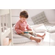 HAPE CARTICICA ANIMALE DOMESTICE VIVHapeE8539