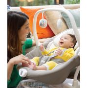 Joie – leagan si balansoar rotativ sansa 2 in 1 fern bbbw1604bafrn000