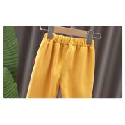 Compleu galben mustar pentru baietei - teddy (marime disponibila: 9-12 luni (marimea 20 incaltaminte)) md1394.9-12 luni (marimea 20 incaltaminte)