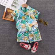 Costumas de vara pentru baietei - Blue flower MBXGSUC782-DE4