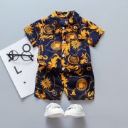 Costumas de vara pentru baietei - golden (marime disponibila: 9-12 luni (marimea 20 incaltaminte)) mdxgsuc786-de4.9-12 luni (marimea 20 incaltaminte)