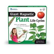 Ciclul vietii plantei - set magnetic