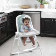 Ingenuity - scaun de masa yummity yum™ goji bbb12076