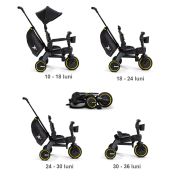 Tricicleta Liki Trike Midnight Editie limitata ERFSP540-99-040-041