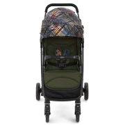 Carucior Graco Breaze Lite 2 Couture Fern ERFG6DU899CFREU