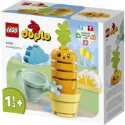 LEGO DUPLO MORCOV CARE CRESTE 10981 VIVLEGO10981