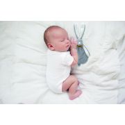 Jucarie atasament bebelusi Iepuras, BabyJem, cu sistem prindere suzeta (Culoare: Gri) JEMbj_8132
