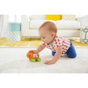 FISHER PRICE JUCARIE APASA SI MERGI TIGRU VIVMTBGX29_CMV97