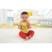 FISHER PRICE JUCARIE APASA SI MERGI TIGRU VIVMTBGX29_CMV97