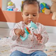FISHER PRICE JUCARIE ZORNAITOARE CERB VIVMTHJW11_HKD68