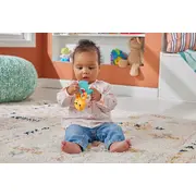 FISHER PRICE JUCARIE ZORNAITOARE VIDRA VIVMTHJW11_HKD69
