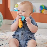 FISHER PRICE JUCARIE ZORNAITOARE VIDRA VIVMTHJW11_HKD69