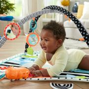 FISHER PRICE SALTEA MUZICALA 3 IN 1 CU CENTRU DE ACTIVITATI VIVMTHBP41