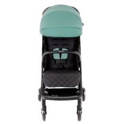 Carucior Graco Myavo Mint ERFGS2107AAMNT000