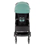 Carucior Graco Myavo Mint ERFGS2107AAMNT000
