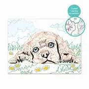 PICTEAZA SI INRAMEAZA CATELUSUL IUBITOR VIV1038-41012