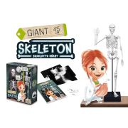 Schelet gigant 45 cm bk2180