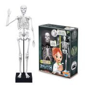 Schelet gigant 45 cm bk2180
