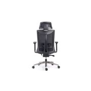 Scaun ergonomic syyt 9501, mesh, suport lombar si tetiera reglabila, sistem inclinare, cotiere ajustabile, 120 kg drm9648