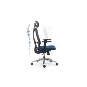 Scaun ergonomic syyt 9501, mesh, suport lombar si tetiera reglabila, sistem inclinare, cotiere ajustabile, 120 kg drm9648