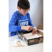 Kit de sapat - dinozaur bk2139