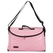 Carucior chipolino enigma 2 in 1 blush hubkken02204bh