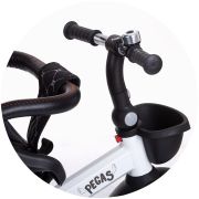 Tricicleta chipolino pegas cu sezut reversibil anthracite hubtrkpeg02201an