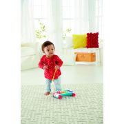 FISHER PRICE XILOFON VIVMTCMY09