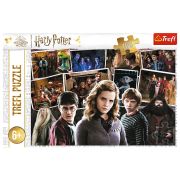 PUZZLE TREFL 160 HARRY POTTER VIV15418