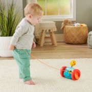 FISHER PRICE JUCARIE DE TRAS ELEFANTEL VIVMTGTK14