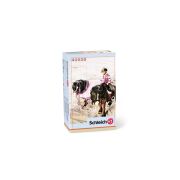 Set Calarie Ponei