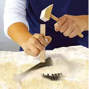 Set creativ - Dezgroapa un T-rex TSG25028