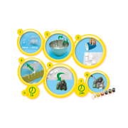 Set creativ mulaj si pictura - Animale TSG01132