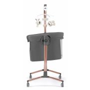 Patut Cu Leganare, Cullami, Co-sleeper 2 In 1, Cu Laterala Culisanta, Cu Setare Unghiulara, Cu Roti, Reglabil In 8 Pozitii Pe Inaltime, Gold Pjb49925182
