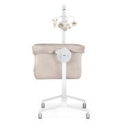 Patut Cu Leganare, Cullami, Co-sleeper 2 In 1, Cu Laterala Culisanta, Cu Setare Unghiulara, Cu Roti, Reglabil In 8 Pozitii Pe Inaltime, Gri Deschis Pjb4407316