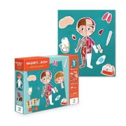 Joc magnetic - descopera corpul uman