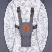 Lionelo - Balansoar si sezlong copii, Ralf, 2 in 1, Electric, Cu telecomanda si cablu USB, Cu miscare laterala de balansare si 5 niveluri diferite de viteza, Cu 12 melodii, Gri Grafit BYNLO-RALF_GREY_GRAPHITE