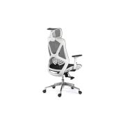 Scaun ergonomic multifunctional syyt 9503, suport lombar, tetiera reglabila, multiblock, 120 kg drm9871