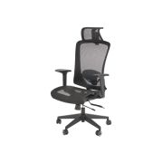 Scaun directorial cu tetiera hm goliat drm10139