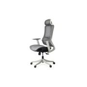 Scaun ergonomic multifunctional syyt 9511 drm10092