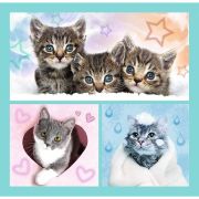 PUZZLE TREFL 3IN1 PISICUTELE DRAGALASE VIV34862
